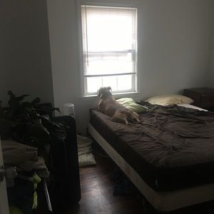 Meet your Posher, Alice